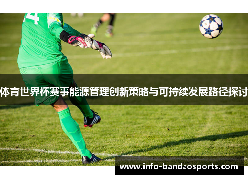 体育世界杯赛事能源管理创新策略与可持续发展路径探讨