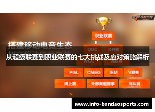 从超级联赛到职业联赛的七大挑战及应对策略解析