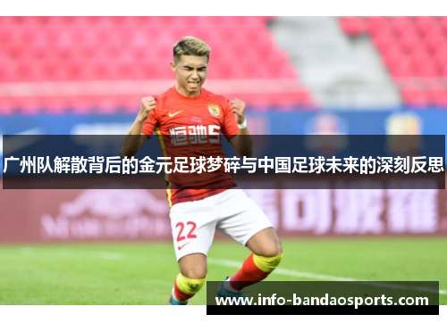 广州队解散背后的金元足球梦碎与中国足球未来的深刻反思