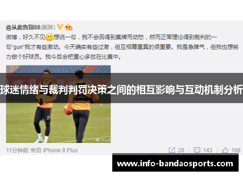 球迷情绪与裁判判罚决策之间的相互影响与互动机制分析