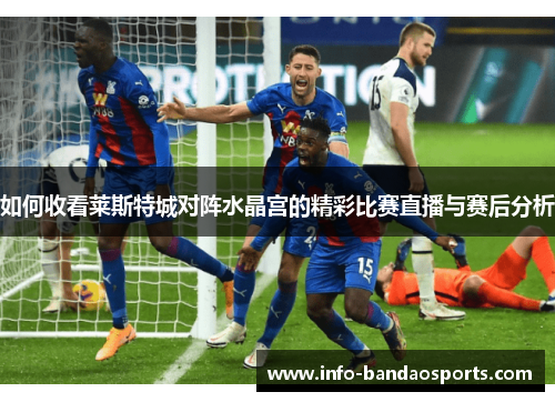 如何收看莱斯特城对阵水晶宫的精彩比赛直播与赛后分析