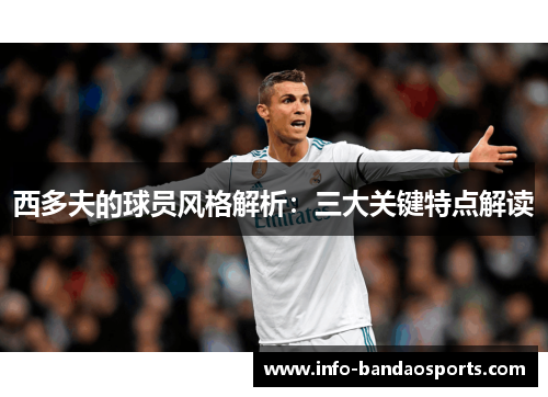 西多夫的球员风格解析:三大关键特点解读 西多夫的球员风格解析:三大关键特点解读
