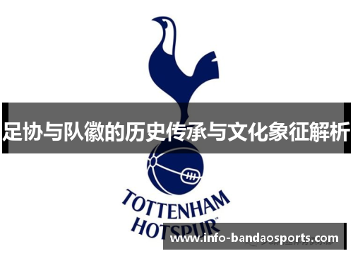 足协与队徽的历史传承与文化象征解析