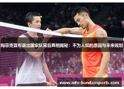 陶菲克宣布退出国家队背后真相揭秘:不为人知的原因与未来规划 陶菲克宣布退出国家队背后真相揭秘:不为人知的原因与未来规划